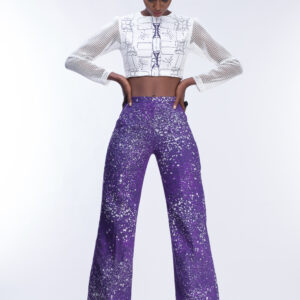 Illusion long sleeves crop top